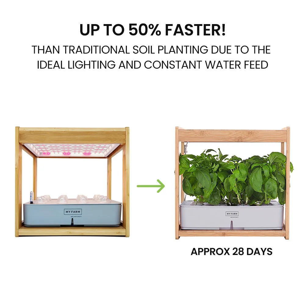 12-Pod Indoor Hydroponic System, Bamboo, LED, Timer - PlantCraft