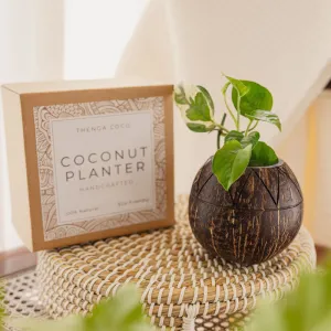 Coconut Shell Planter Pot | Zig Zag Indoor Gardening | Brown