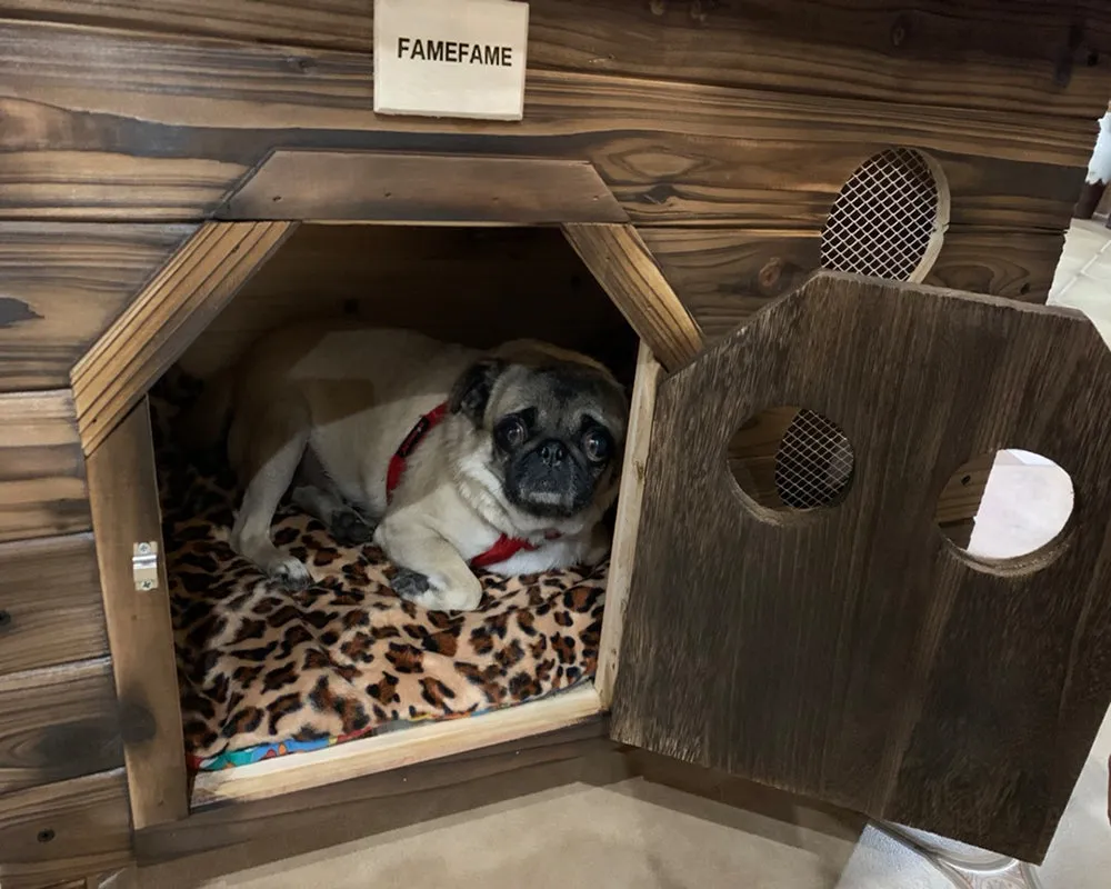 FAMEFAME kennel, fine wooden house kennel, natural wood