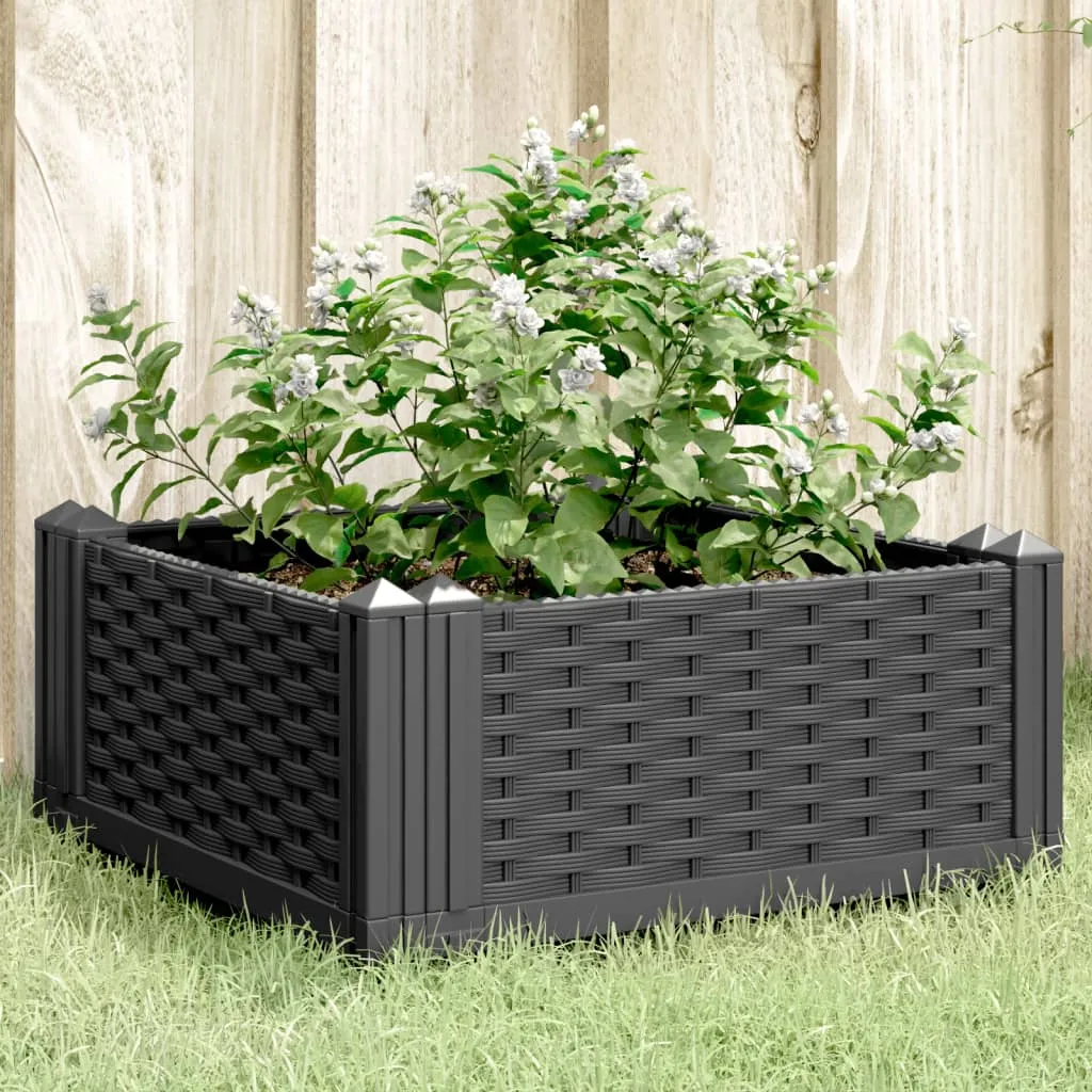 Garden Planter with Pegs Black 42.5x42.5x28.5 cm PP