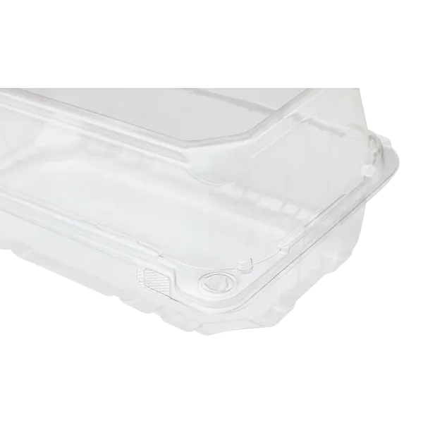 Karat 9" x 5" PET Plastic Hinged Containers - 250 pcs