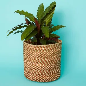 Medium Brown Iringa Indoor Planter Toy Storage Woven Basket