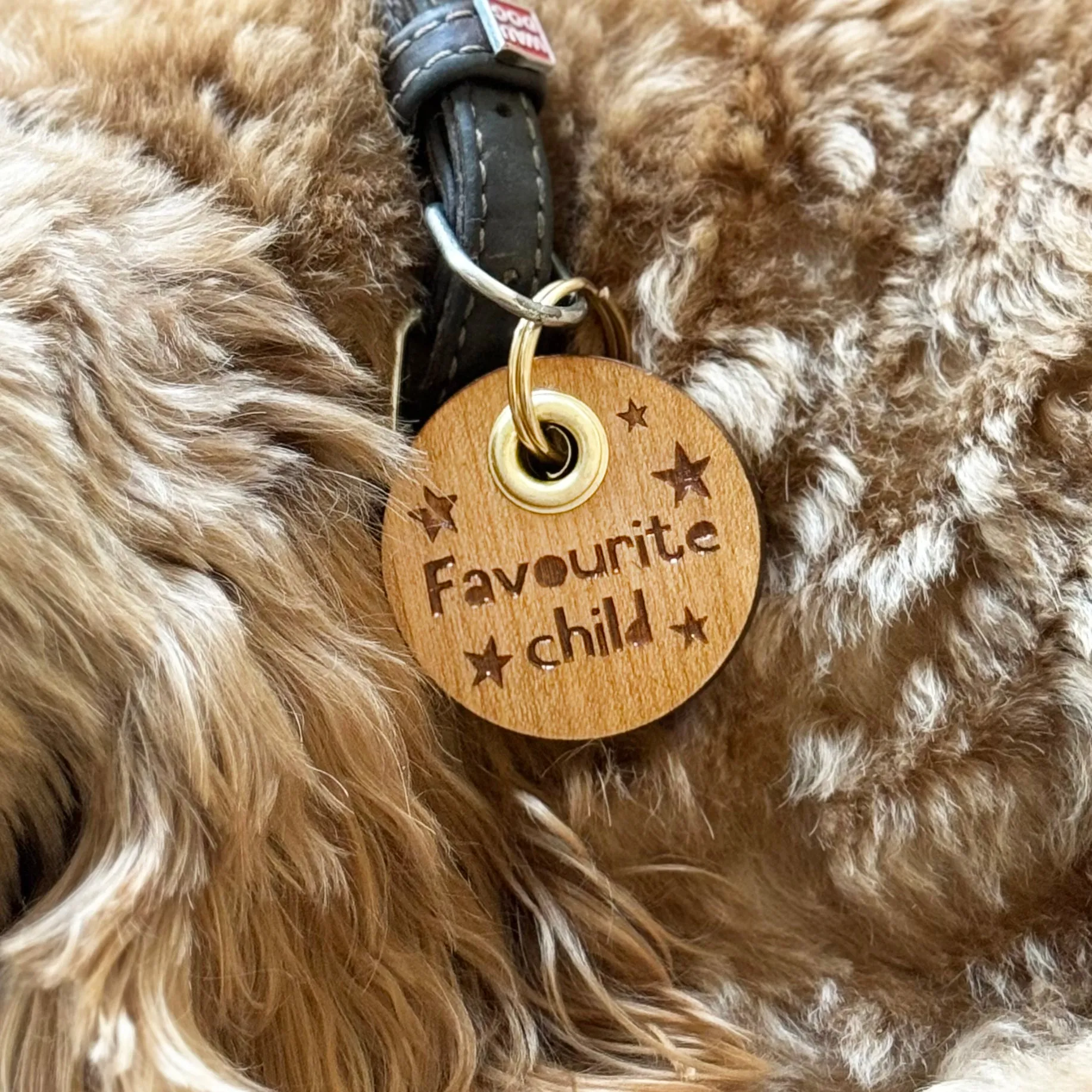 Personalised Wooden Pet Tag