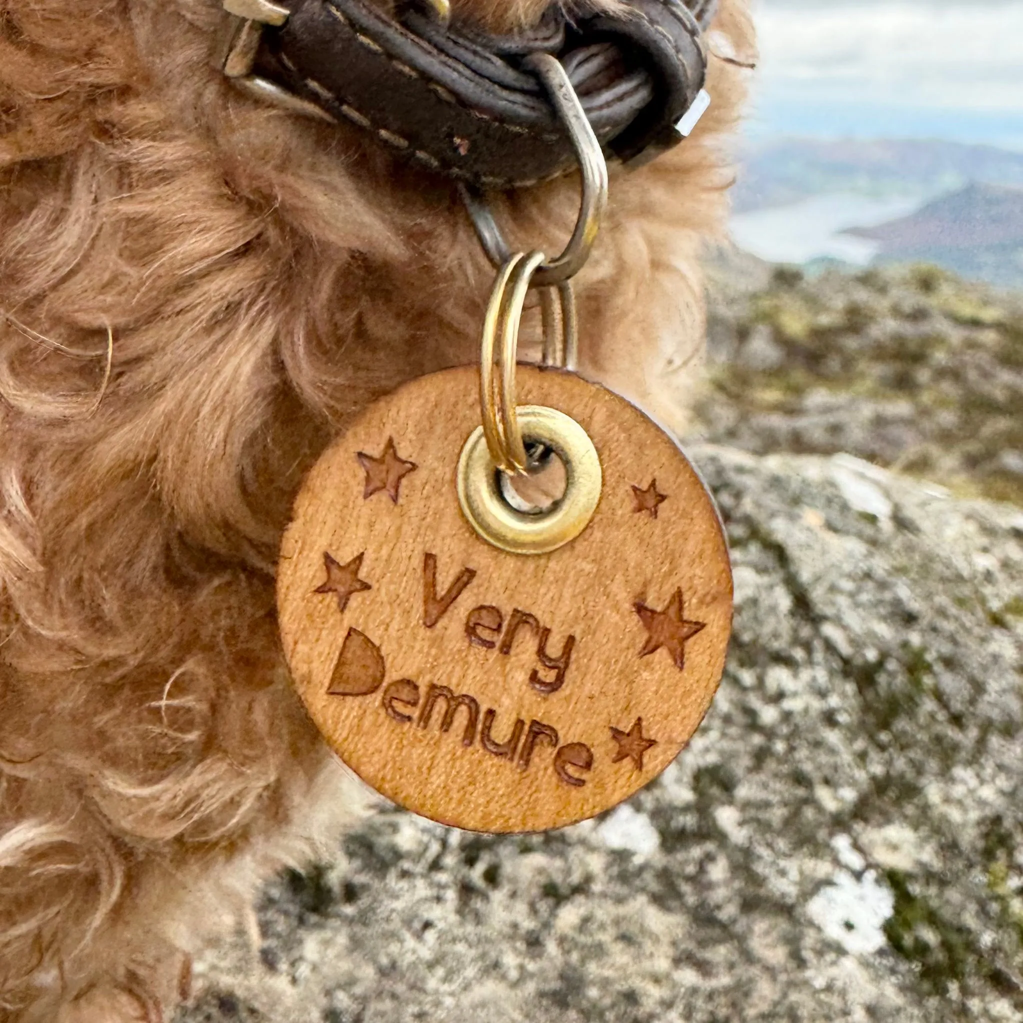 Personalised Wooden Pet Tag