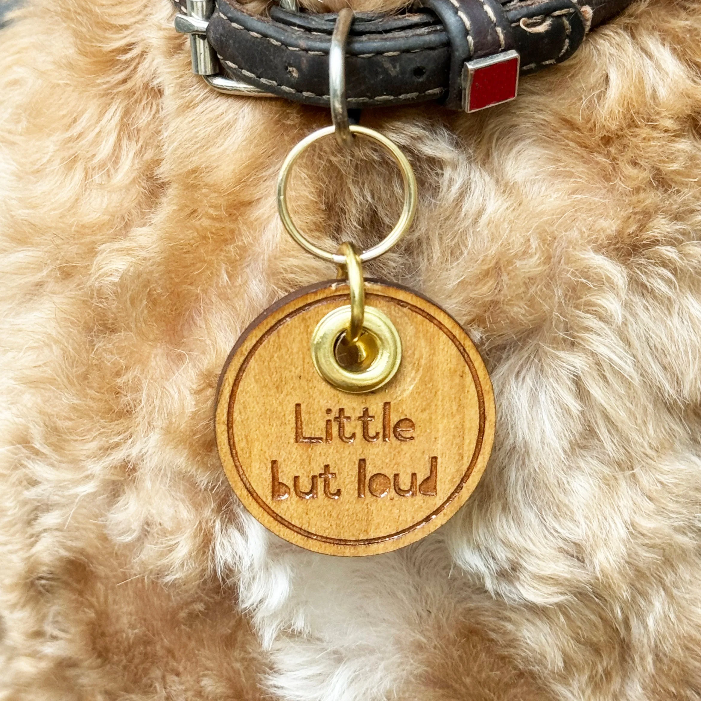 Personalised Wooden Pet Tag