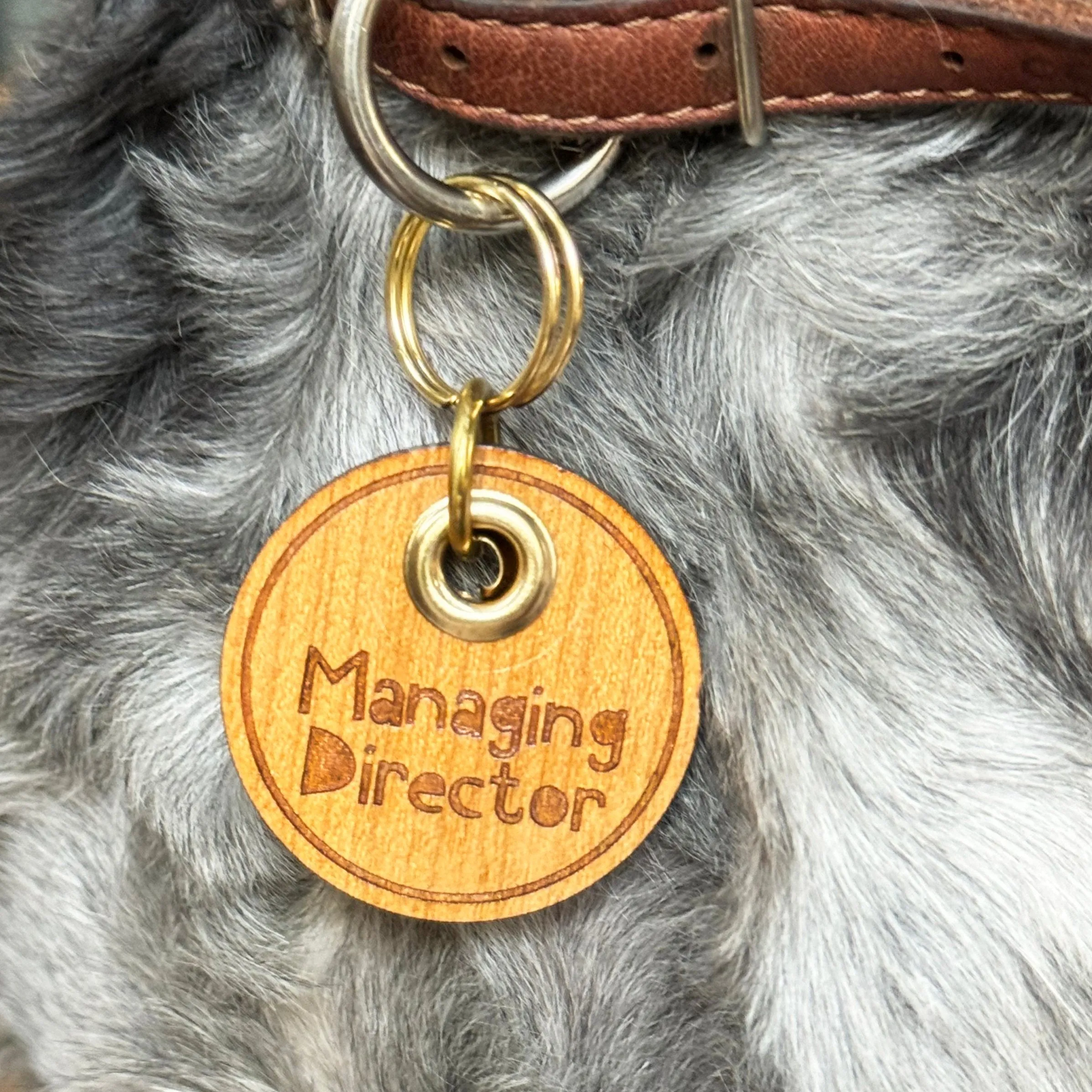 Personalised Wooden Pet Tag