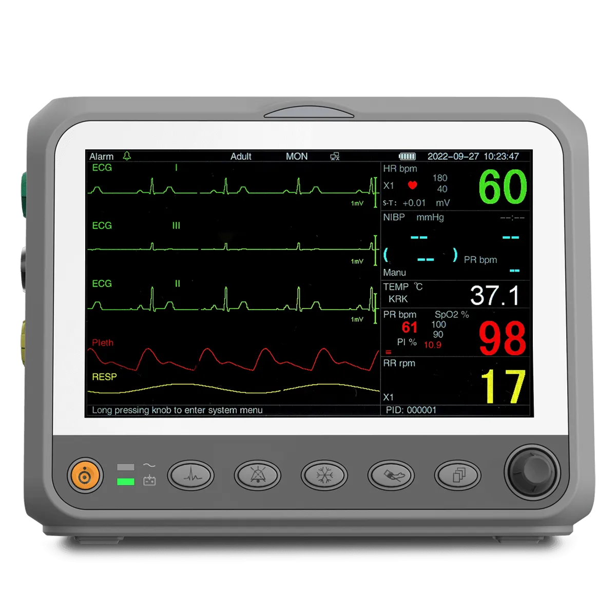 Portable Patient Monitor